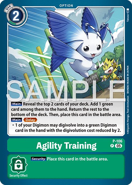 Agility Training