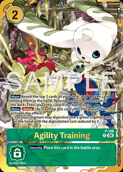 Agility Training
