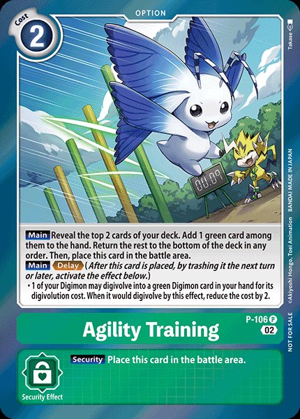 Agility Training
