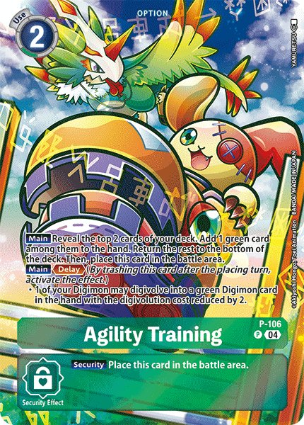 Agility Training