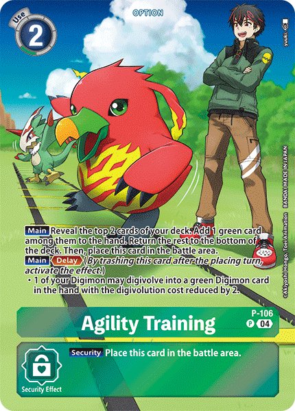 Agility Training