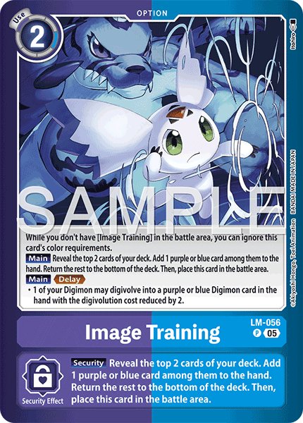 Image Training