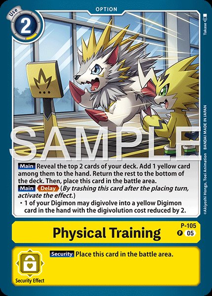Physical Training