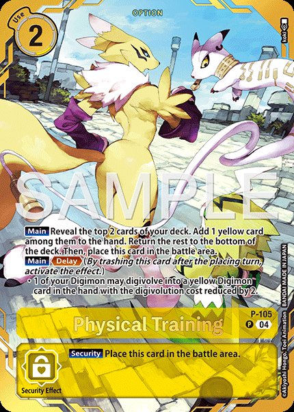 Physical Training