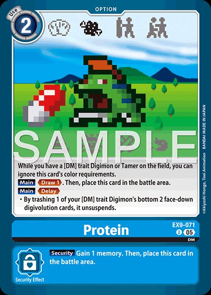 Protein