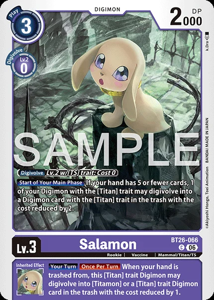 Salamon