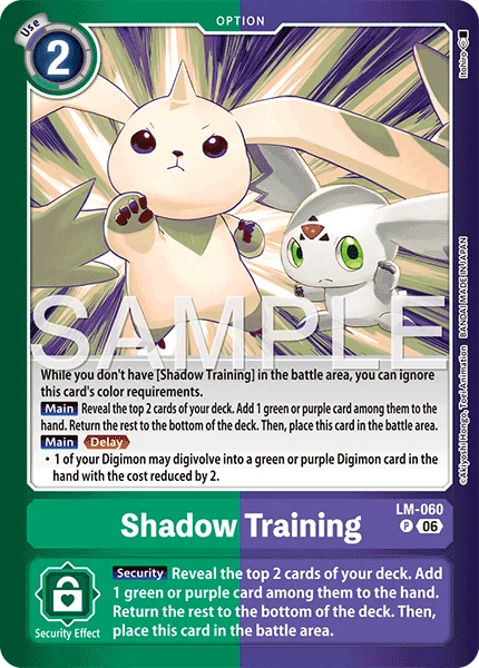 Shadow Training