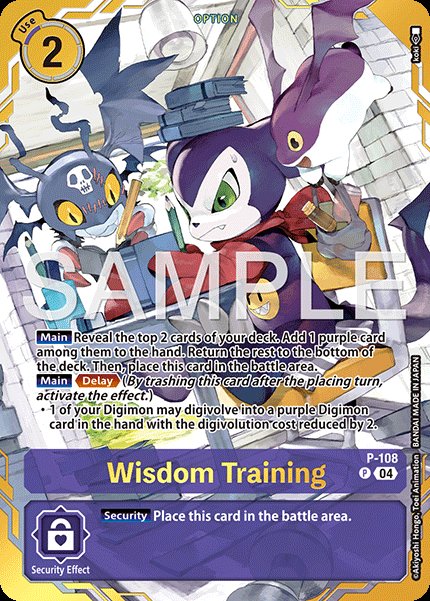 Wisdom Training