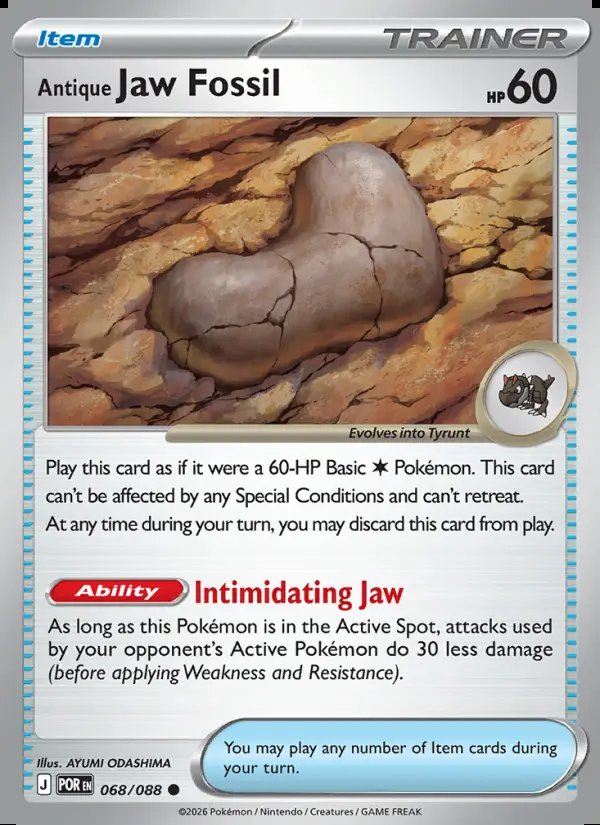 Antique Jaw Fossil