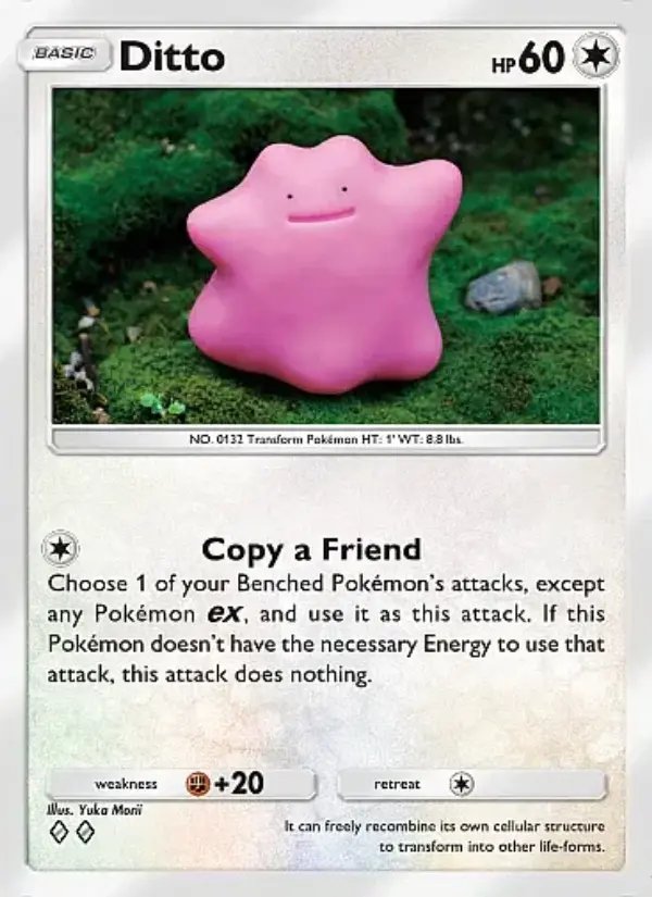 Ditto