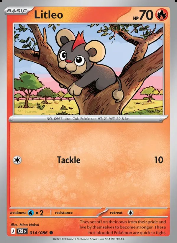 Litleo
