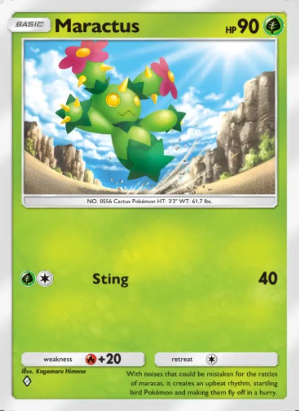 Maractus