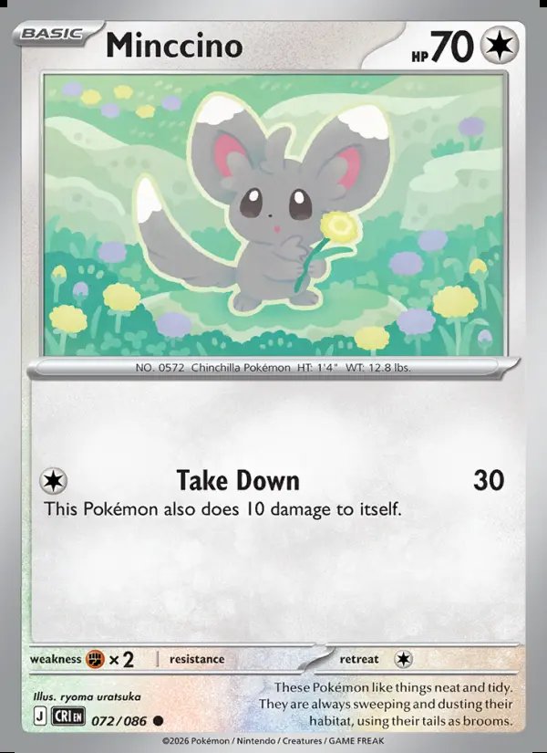 Minccino