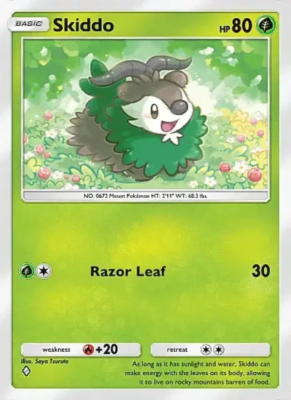 Skiddo
