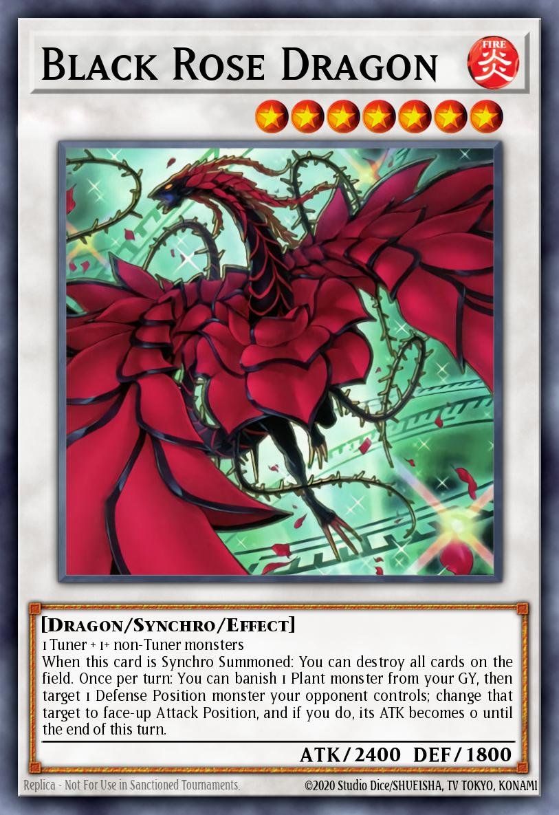 Black Rose Dragon