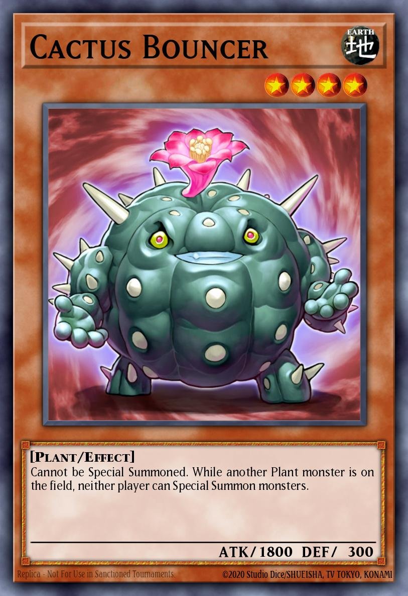 Cactus Bouncer