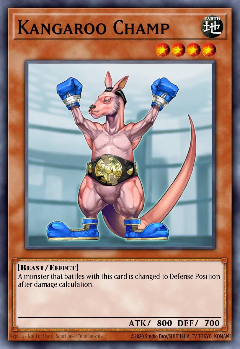 Kangaroo Champ