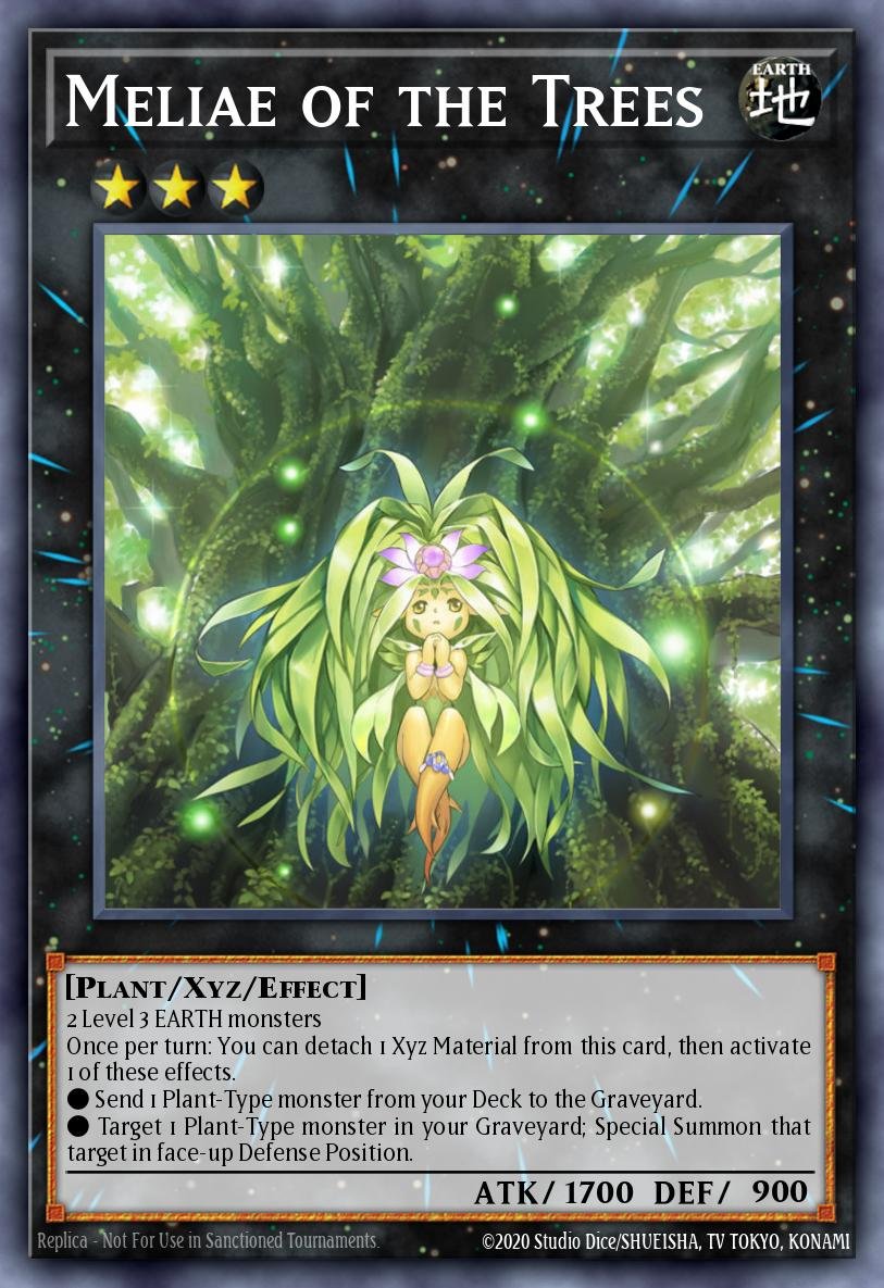 Meliae of the Trees