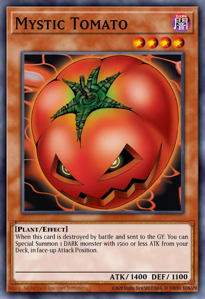 Mystic Tomato