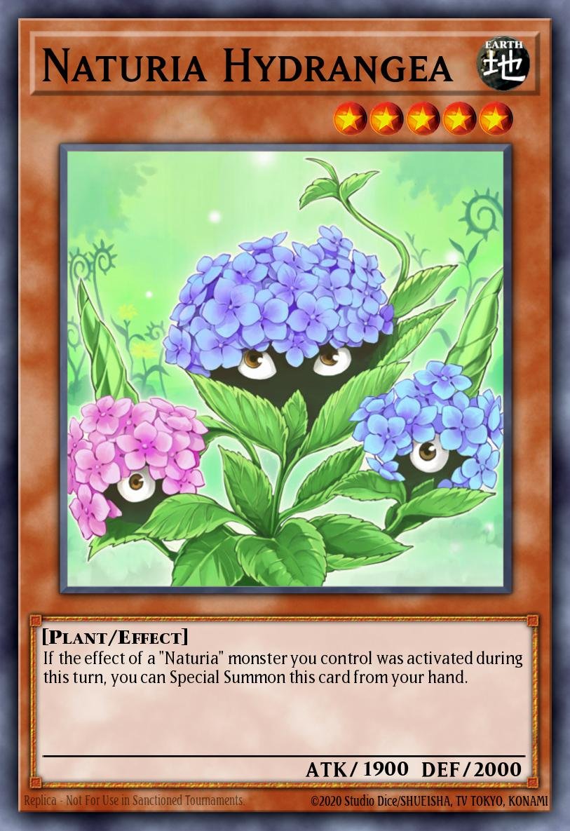 Naturia Hydrangea
