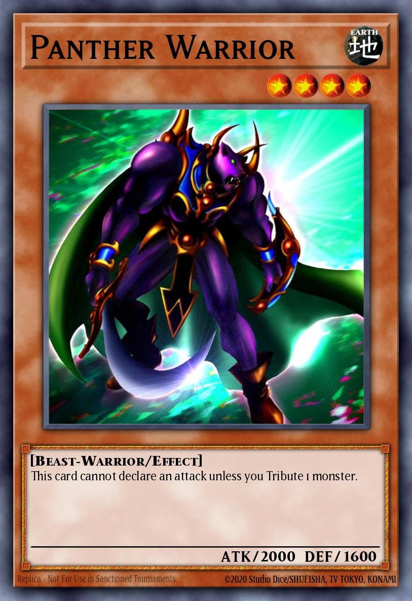 Panther Warrior