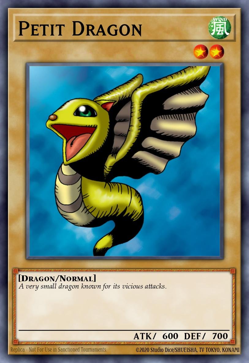 Petit Dragon