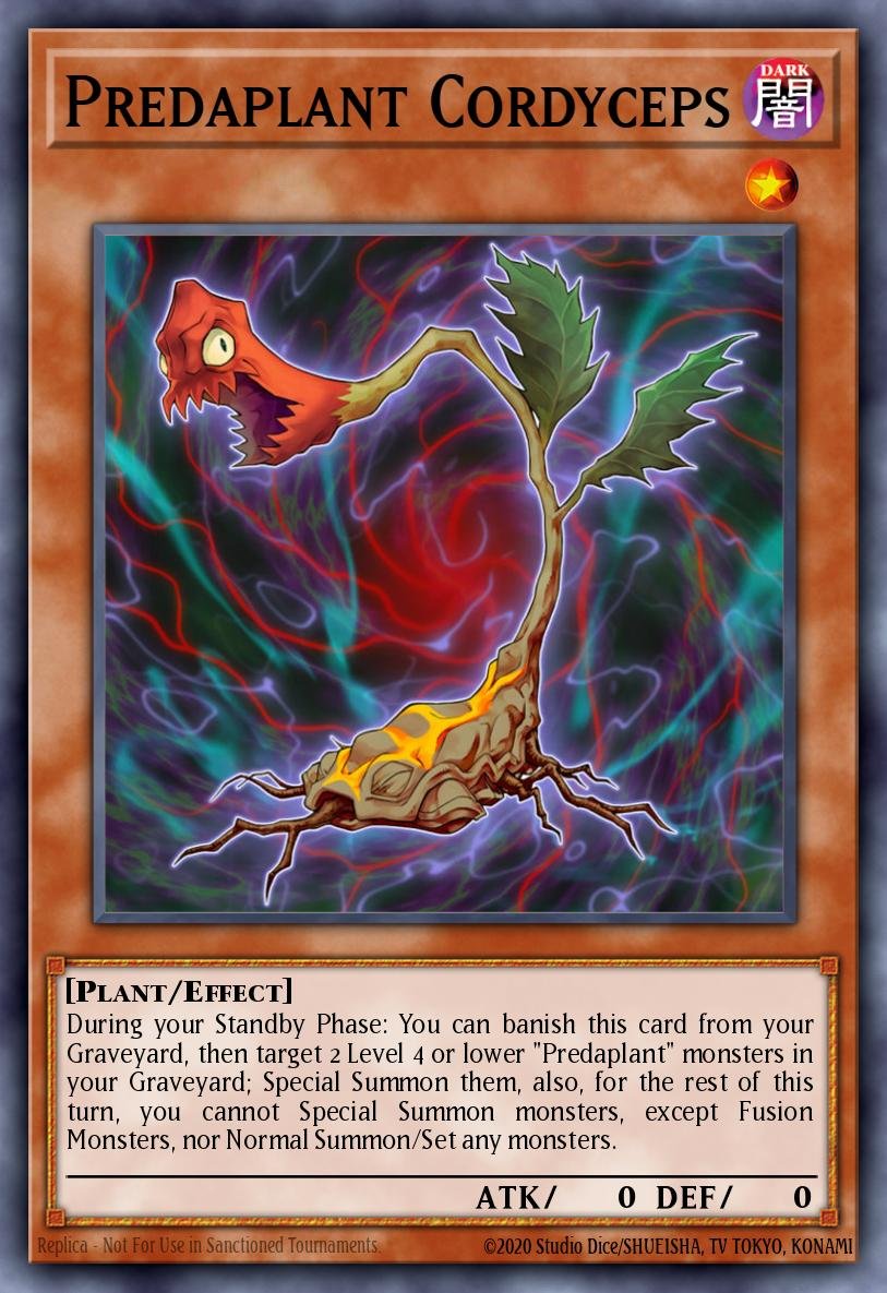 Predaplant Cordyceps