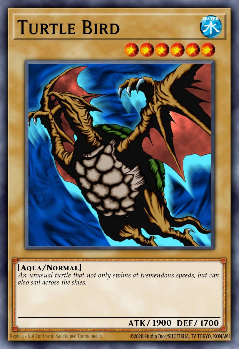 Turtle Bird