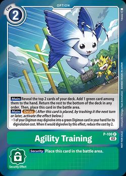Agility Training