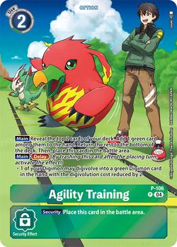 Agility Training