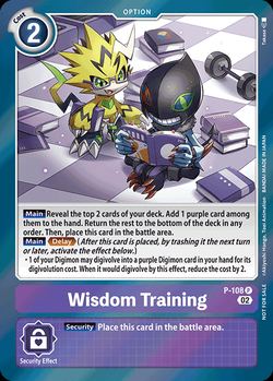 Wisdom Training