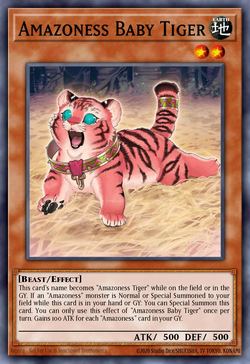 Amazoness Baby Tiger