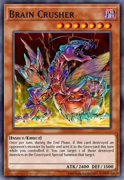 Brain Crusher