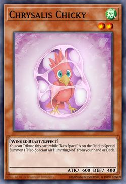 Chrysalis Chicky