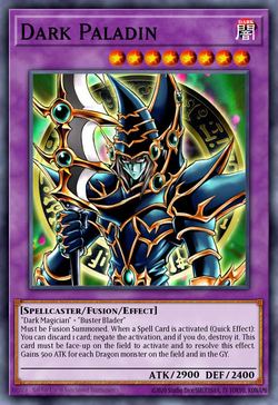 Dark Paladin
