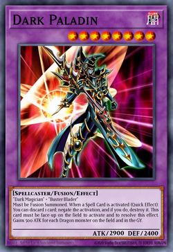 Dark Paladin