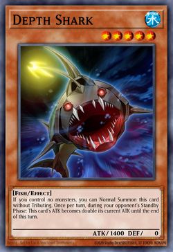 Depth Shark