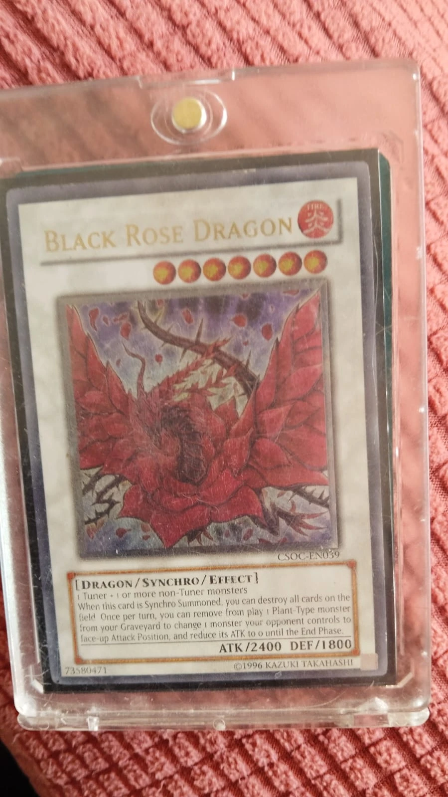 Foto real de Black Rose Dragon