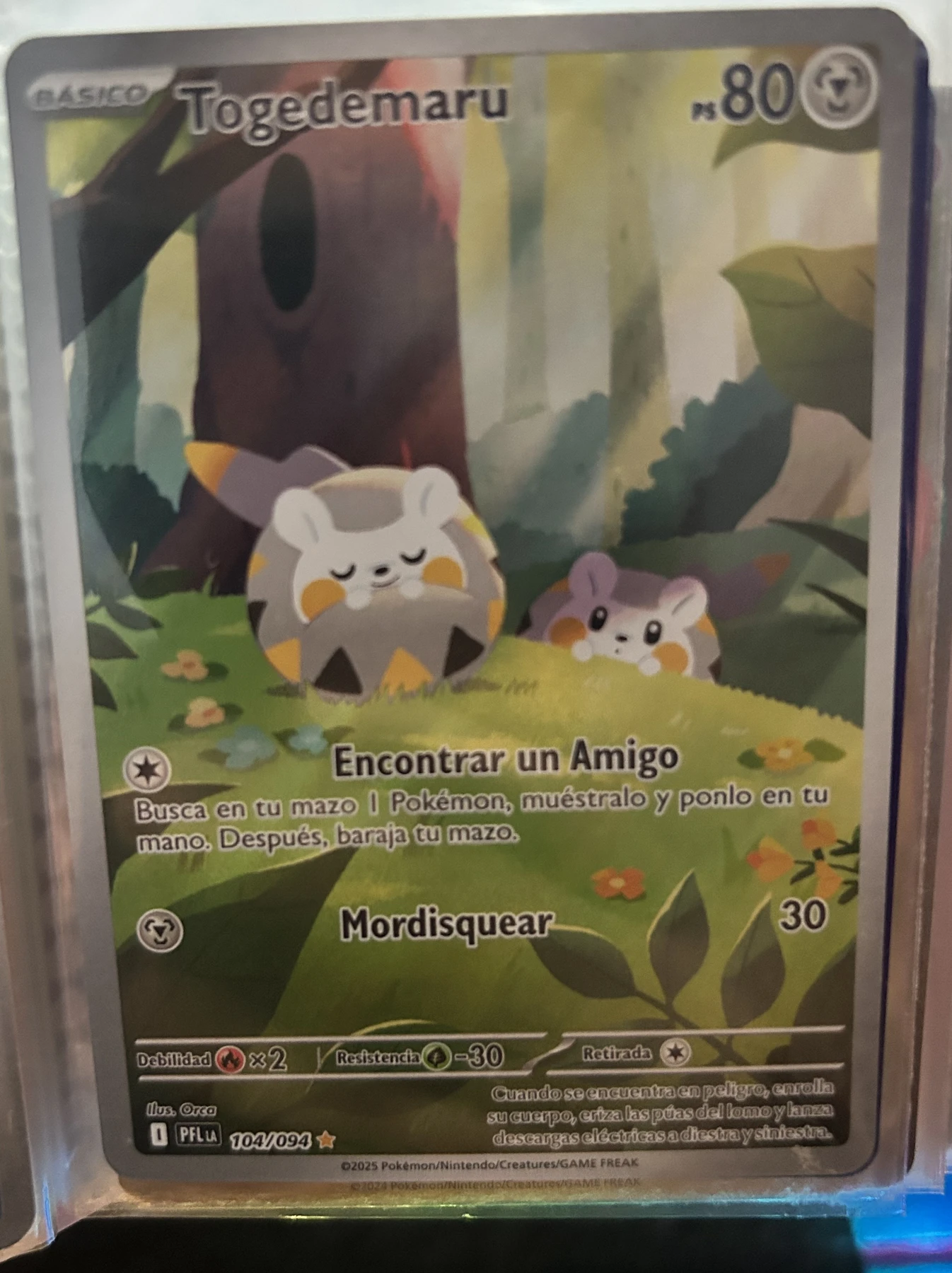 Foto real de Togedemaru