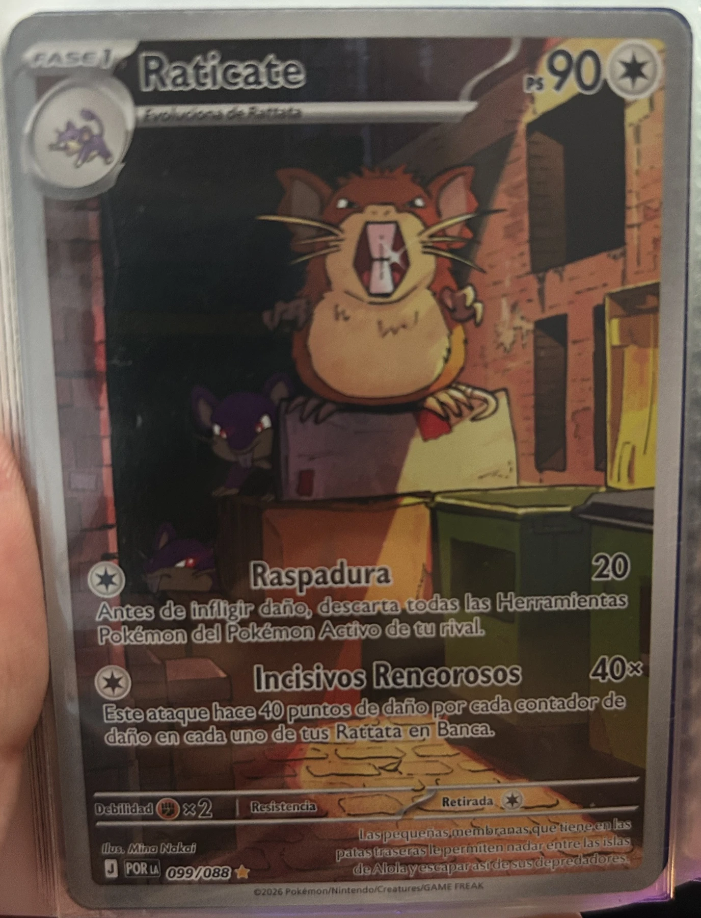 Foto real de Raticate