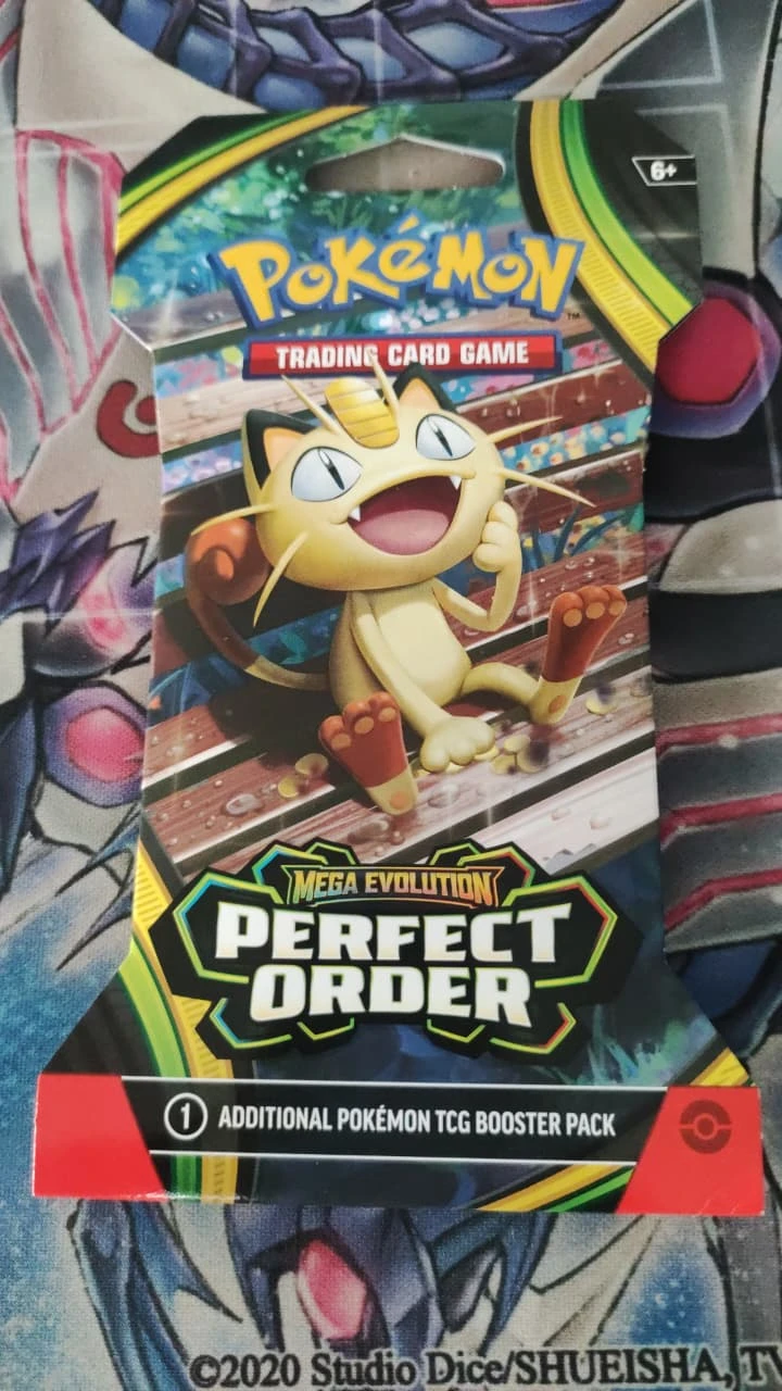 Sleeved Pack Perfect Order