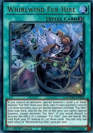 WHIRLWIND FUR HIRE