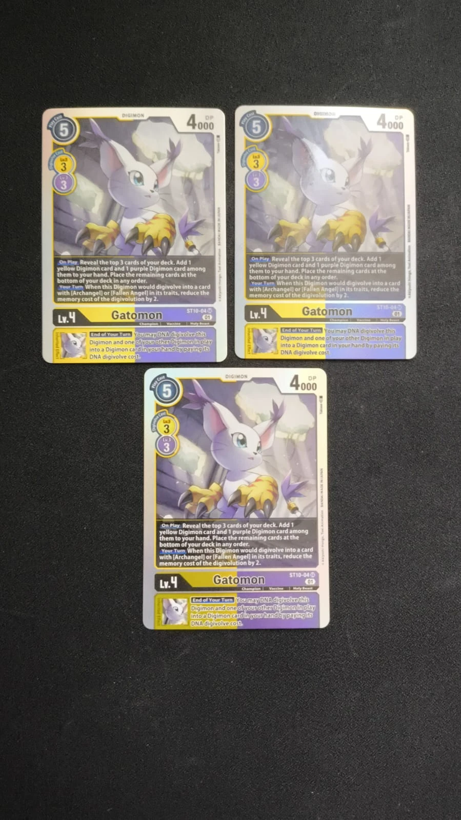 Foto real de Gatomon