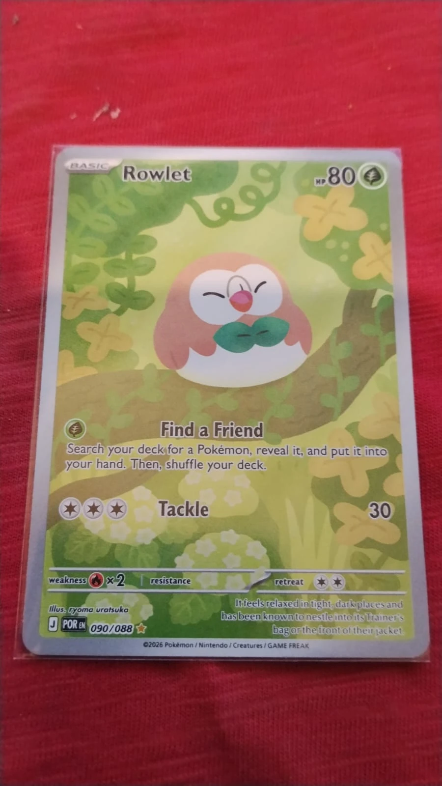 Foto real de Rowlet